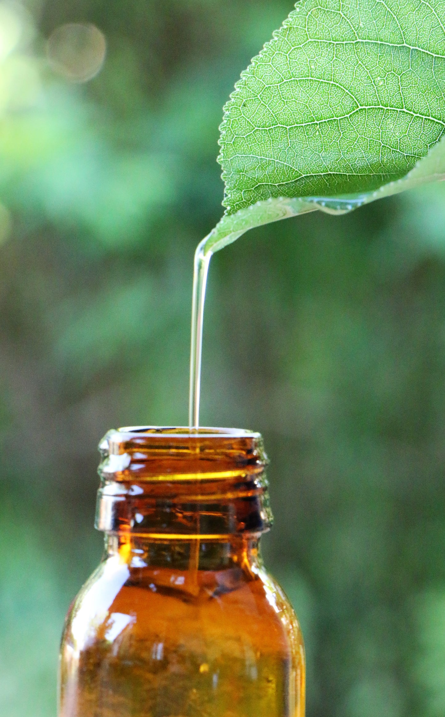 Herbal Extracts