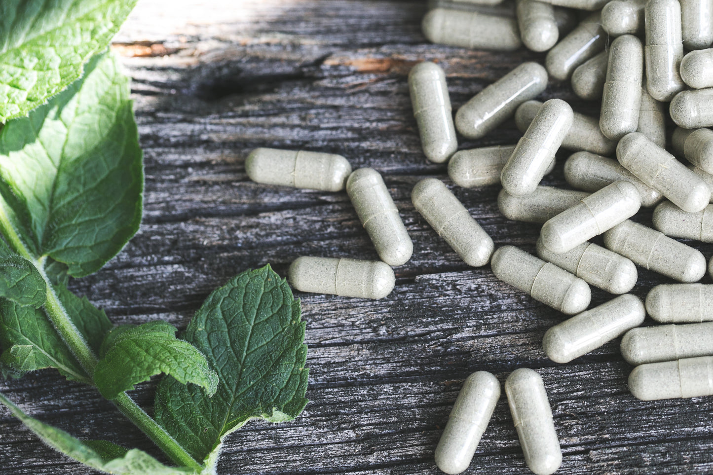 Herbal Tinctures