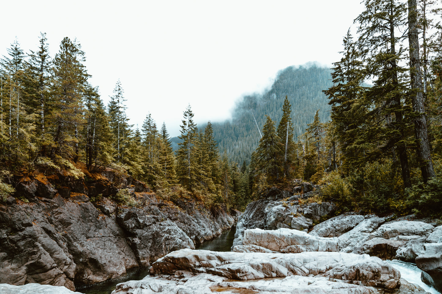 Superior Mountain Herbs