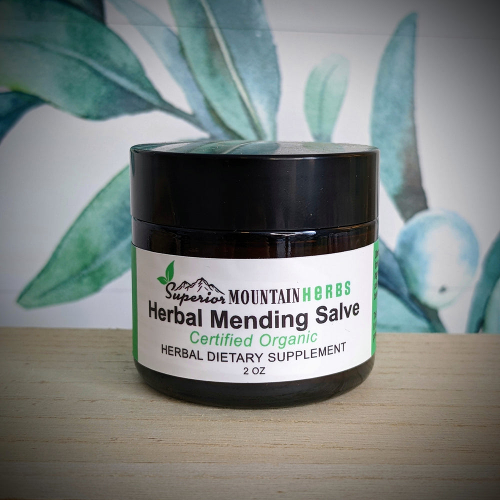 Superior Herbal Mending Salve - 2 oz.