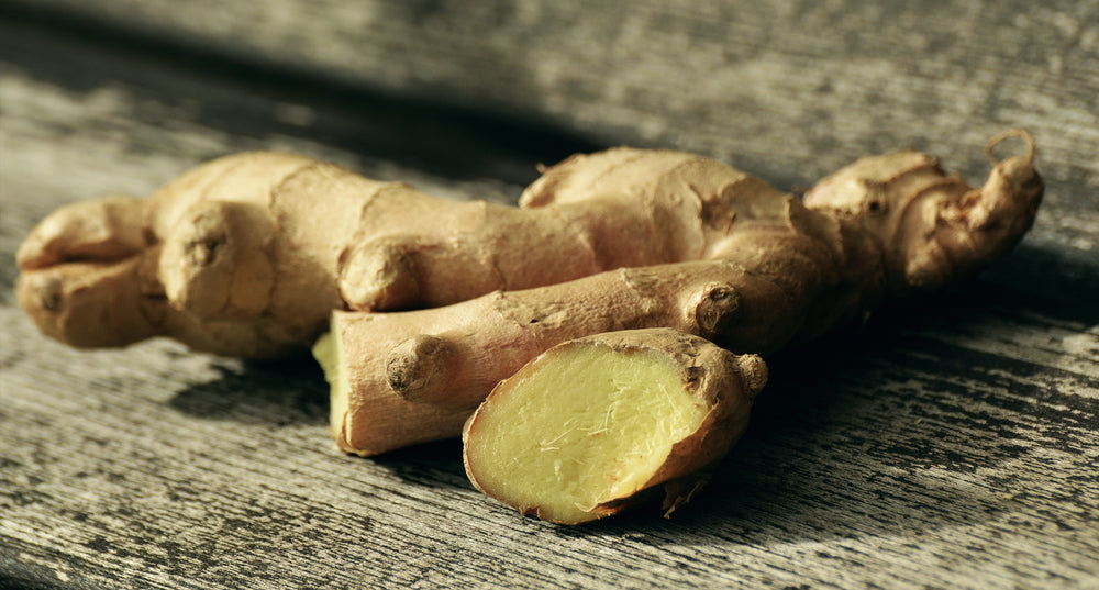 
                  
                    Superior Organic Ginger Root Extract - 1 oz.
                  
                