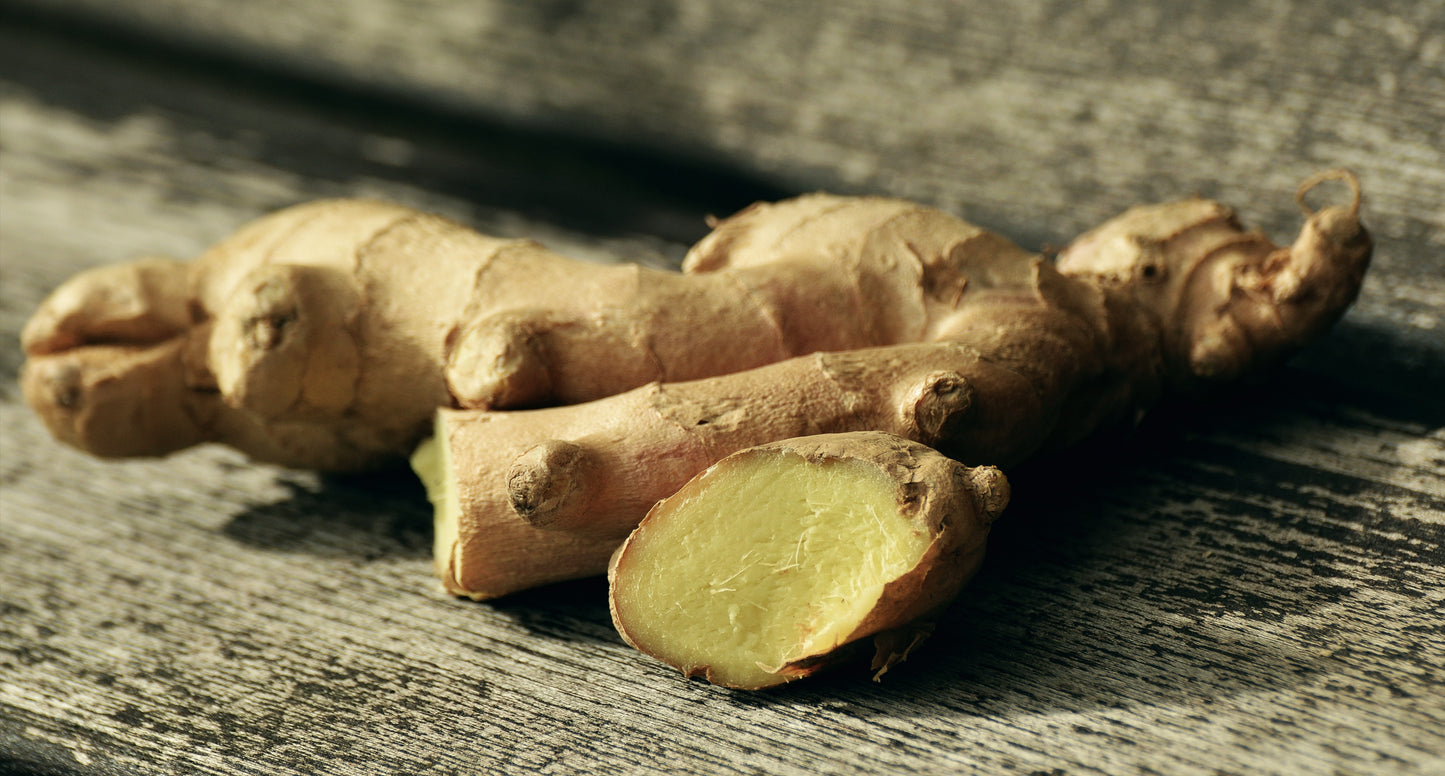 
                  
                    Superior Organic Ginger Root Extract - 1 oz.
                  
                